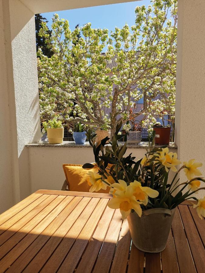 Apartman Soto Pirovac Εξωτερικό φωτογραφία