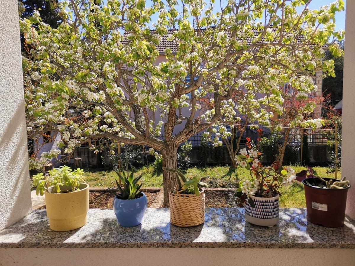 Apartman Soto Pirovac Εξωτερικό φωτογραφία