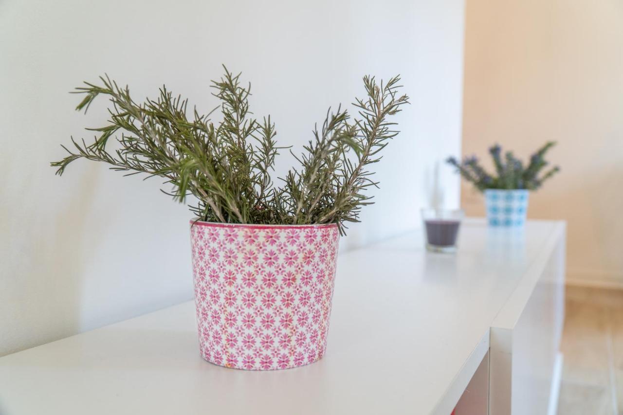 Apartman Soto Pirovac Εξωτερικό φωτογραφία